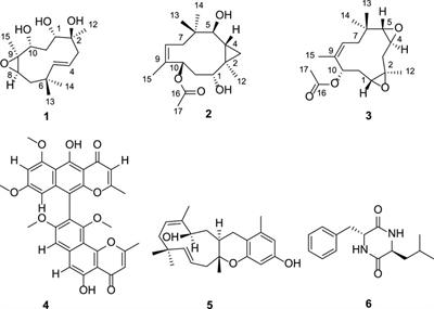 Humulane-Type Macrocyclic Sesquiterpenoids From the Endophytic Fungus Penicillium sp. of Carica papaya